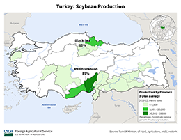 images\TU\cropprod\Turkey_Soybean_preview.png